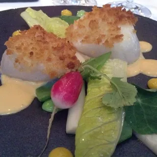 Scallop