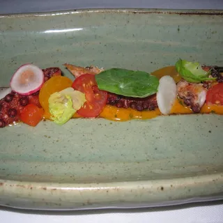 Octopus