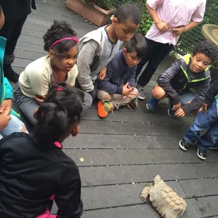 Ryan teaching the kids about the turtle