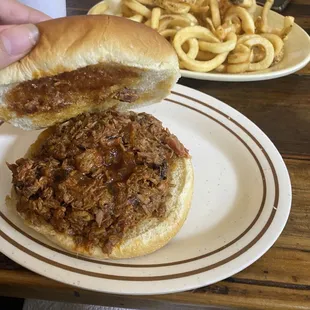 a pulled pork sandwich on a bun