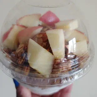 Tiny yogurt and granola, but really good and filling