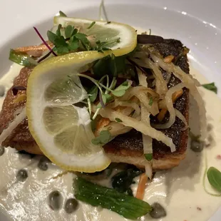 Salmon is excellent.