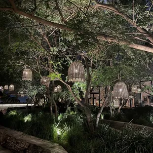 a view of a tree and a bench in a park at night