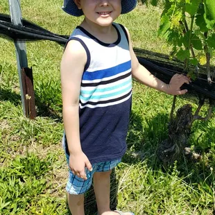 Grandson posing by grapevine