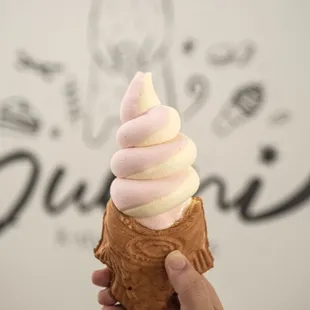 Taiyaki Ice Cream Cone  - Milk / Strawberry / Taro / Pineapple