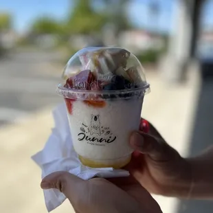 Fruit Bingsoo