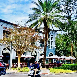 &quot;Juno &amp; the Peacock street side&quot; Downtown Beautiful St. Petersburg, Flo-Rider OuiOui hahaha.