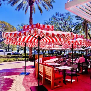 &quot;Juno &amp; the Peacock patio&quot; la vie in rose.