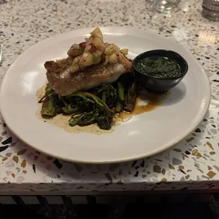 Snapper
