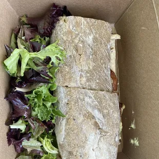 Grilled Chicken Sandwich with side Salad