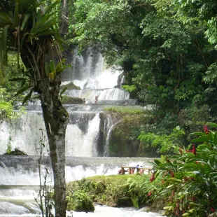 YS Falls Jamaica