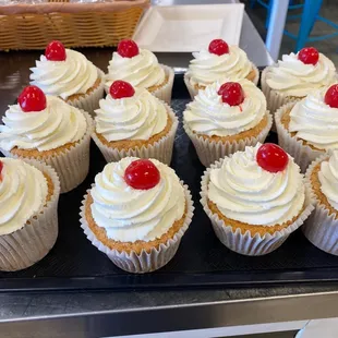 Amazing Tres Leches cup cakes at Just Baked, Bakery and Deli