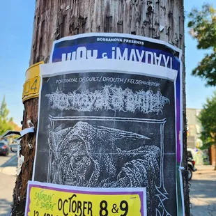 a poster on a telephone pole