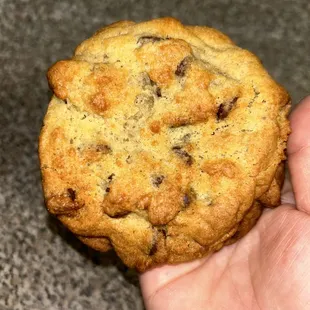 a hand holding a chocolate chip cookie