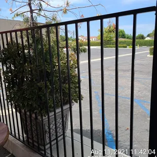 ramen and noodles, outside