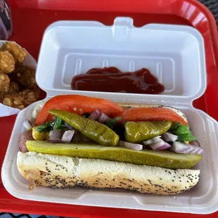 Chicago style dog and tater tots done right