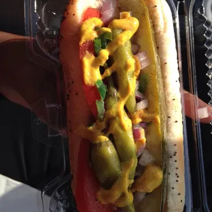 Chicago Dog