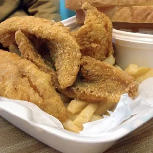 fish and chips, fish, seafood, food