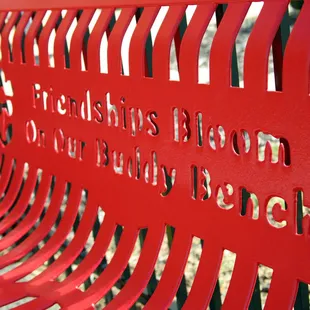 Friendships Bloom On Our Buddy Bench