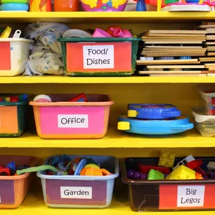 Toys in the Lions and Tigers Classroom