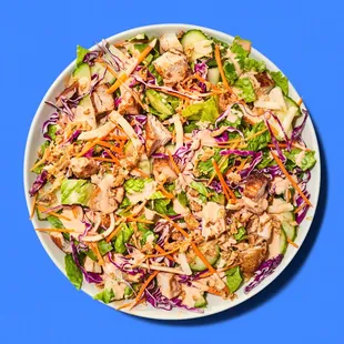 a bowl of salad with chicken, lettuce, and carrots