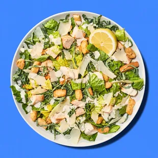 a plate of salad on a blue background