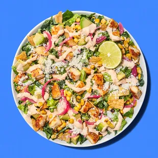 a plate of salad on a blue background