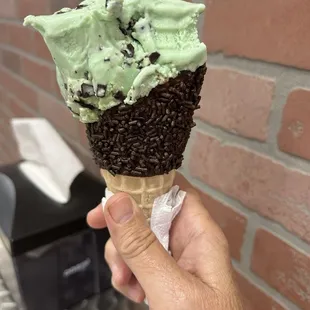 Just Scoops
