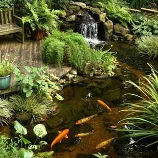 a garden with a pond and a bench