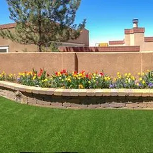 a view of a backyard from a patio