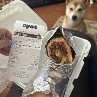 My pup looks interested No lettuce was included