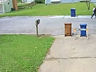 Papillion Sanitation