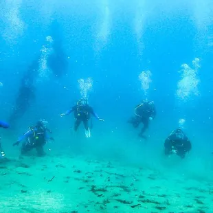 Monterey certifying group dive #4. Shot by our amazing instructor Derek!