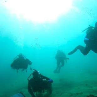 Monterey dive 4