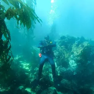 Our very professional and knowledgeable dive instructor Derek!