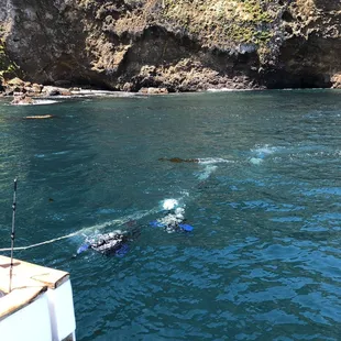 Live aboard off Santa Cruz Island
