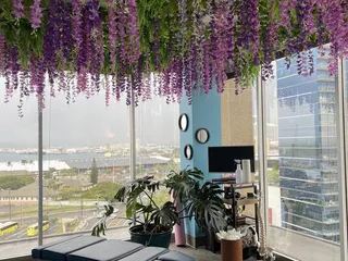 Global Health Chiropractic