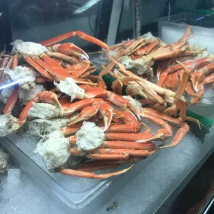 food, oysters and mussels, mussels, shellfish, oysters