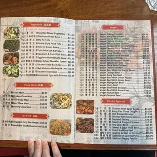 Menu - Lots of Vegetable options, other noodle dishes like Chow mein &amp; Mi fun, large variety of Vegan options, and Chef's Special