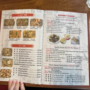 Menu - Lo mein noodles, Rice dishes, and variety of Gourmet Dinner options (family style)