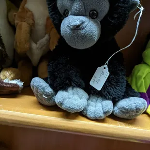 A stuffed animal I got