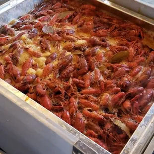 Crawfish