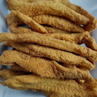 12 pcs fish fix