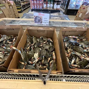 blue crabs in boxes