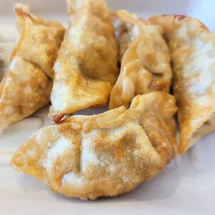 a close up of a fried dumpling