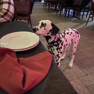 food, donuts, dough desserts