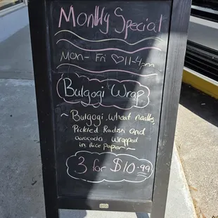 Bulgogi Wrap Special