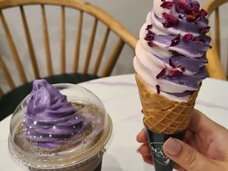 Premium Matcha Cafe Maiko