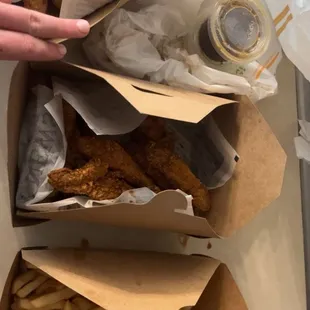 Honey Garlic Tenders