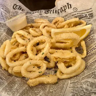 Fried Calamari